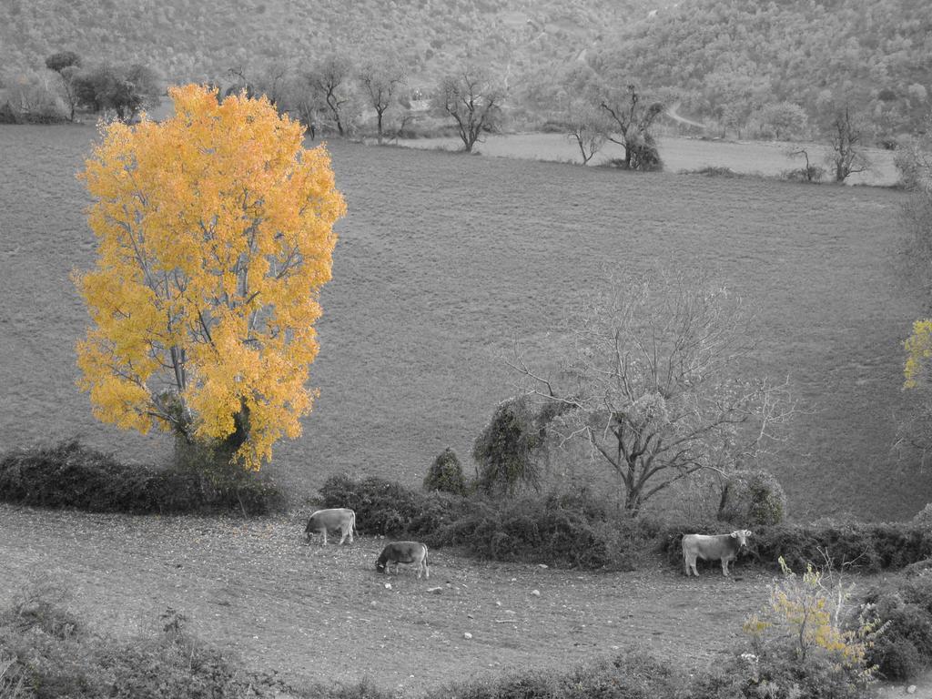 La Llar-Lo Paller Del Coc Surp Exterior foto