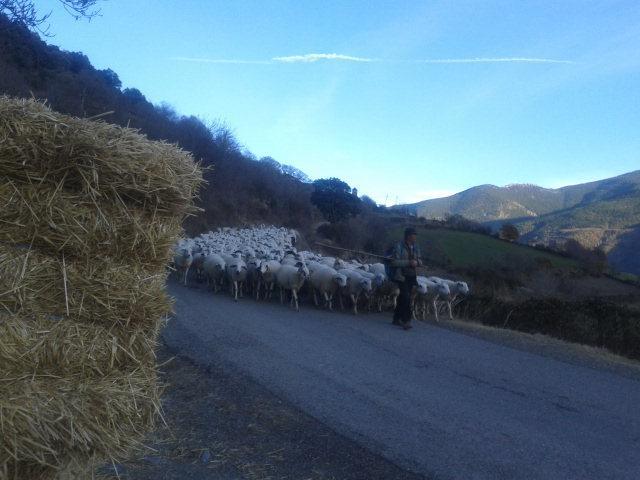 La Llar-Lo Paller Del Coc Surp Exterior foto